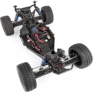 Team Associated Trophy Rat Ready-To-Run