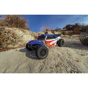 Team Associated Trophy Rat Ready-To-Run