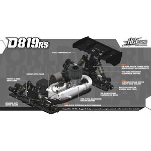 HB Racing D819RS 1/8 Competition Nitro Buggy819
