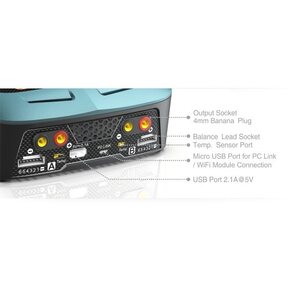 SkyRc SkyRC Charger D100 AC/DC DUO Li-Po 1-6s 2x100W