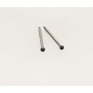 HB Racing D216 Hinge Pin Set (Inner Rear/2Pcs) Hb116276