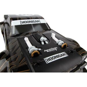 Team Associated Reflex 14R HOONICORN