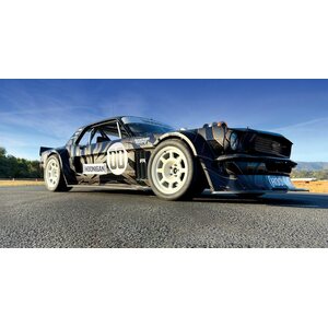 Team Associated Reflex 14R HOONICORN