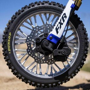 Losi 1/4 Promoto-MX Motorcycle RTR with Battery and Charger, Pro Circuit