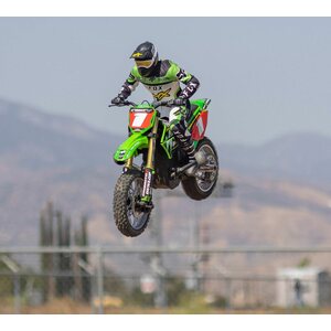 Losi 1/4 Promoto-MX Motorcycle RTR with Battery and Charger, Pro Circuit