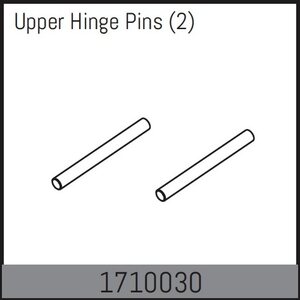 Absima Upper Hinge Pins (2) 1710030