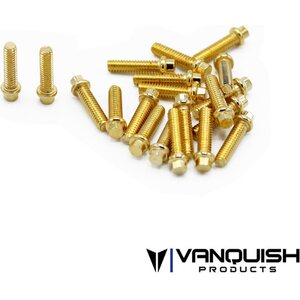 Vanquish M2x8mm Forged Scale Steel GR8 (20) VPS01712