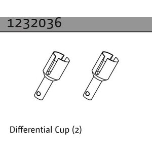 Absima Differential Cup (2)
