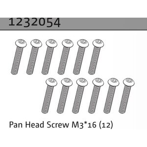 Absima Pan Head Screw M3*16 (10)