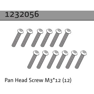 Absima Pan Head Screw M3*12 (22)