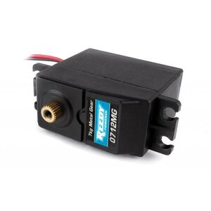 Team Associated Pro2SC10 RTR Lipo Package