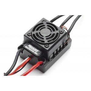 Team Associated Pro2SC10 RTR NiMh Package